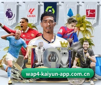 开云官网APP入口 APP