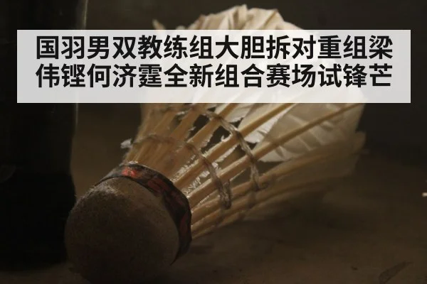 国羽男双教练组大胆拆对重组梁伟铿何济霆全新组合赛场试锋芒